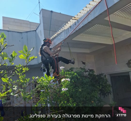 אדם על גג עם ציוד להסרת יונים